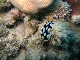 marsa_alam_200510 317